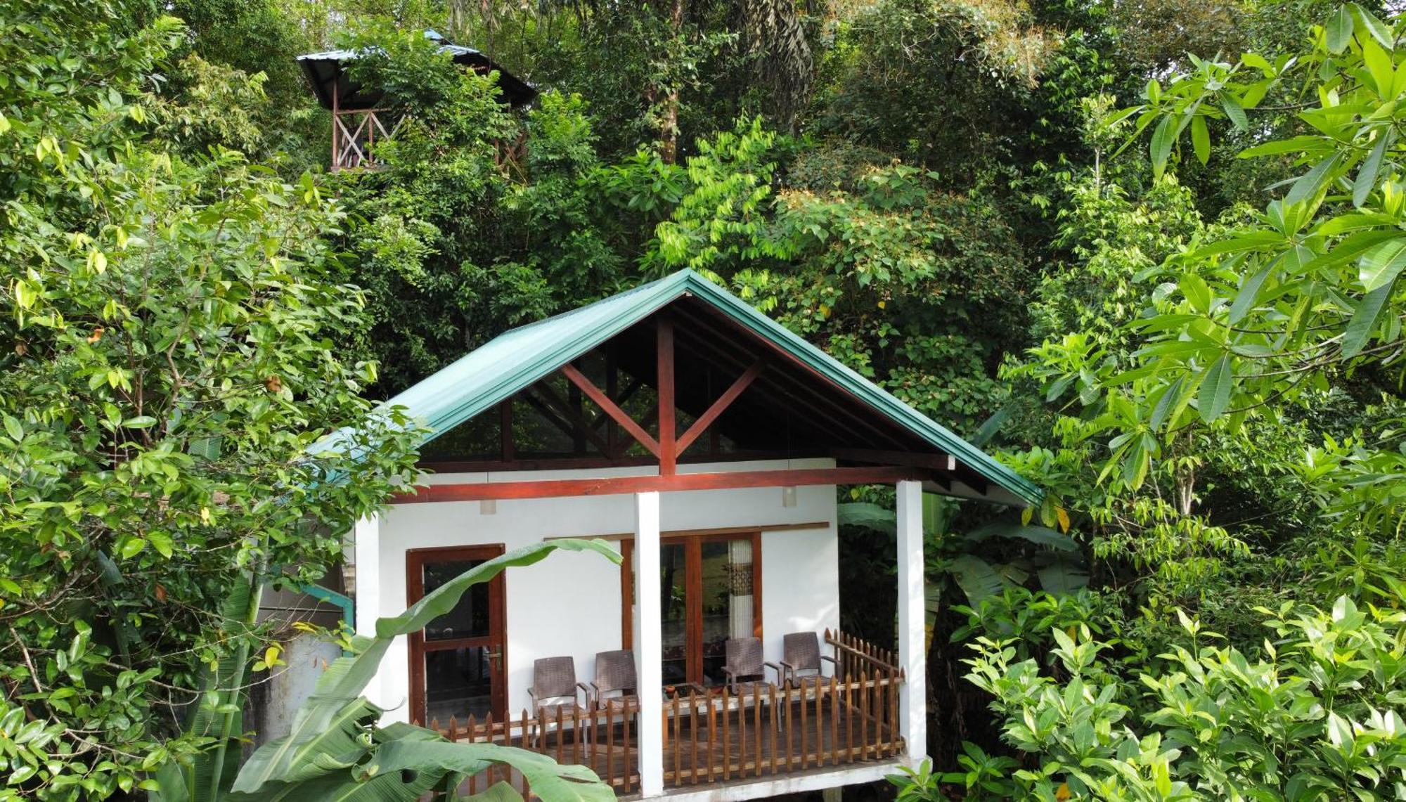 Sinharaja Rest Hotel Deniyaya Exterior photo